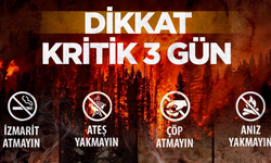 Kırşehir’de Orman Yangınlarına Karşı Kritik 3 Gün Uyarısı