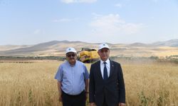 KAEÜ'nün Deneme Tarlasında Yüksek Verim