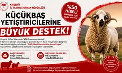Küçükbaş Yetiştiricilerine Damızlık Koç Desteği