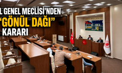 İl Genel Meclisi'nden "Gönül Dağı" Kararı