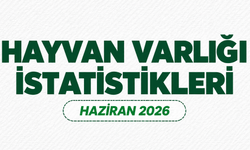 Kırşehir’de 2026 Yılı Hayvan Varlığı Verileri Yayımlandı
