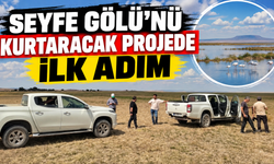 SEYFE GÖLÜ’NE CAN SUYU OLACAK PROJE BAŞLADI