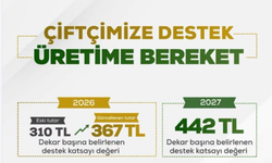 Kırşehirli Çiftçilere Destek Artışı: Dekar Başına 367 TL