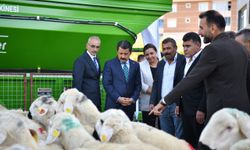 KIRŞEHİR’DE ÜRETİCİLERE 100 DAMIZLIK KOÇ DESTEĞİ