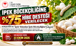 Kırşehir’de ipek böceği üretimine destek geliyor