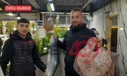 Kırşehir’de Balık Tezgâhlarında Hareketlilik: Fiyatlar ve Çeşitler Merak Ediliyor