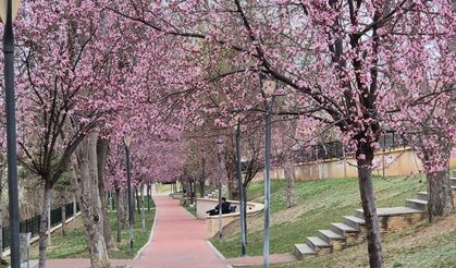 Kırşehir’in caddelerinde kartpostallık bahar manzaraları