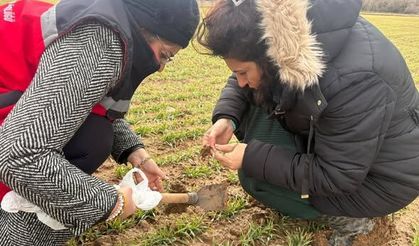 Tarımda Verim İçin Bitki Gelişim Süreci İzleniyor