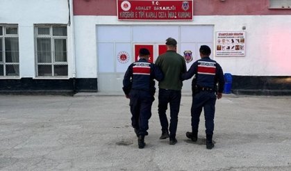 Kaman’da Köpeğe Ateş Eden Kişi Tutuklandı