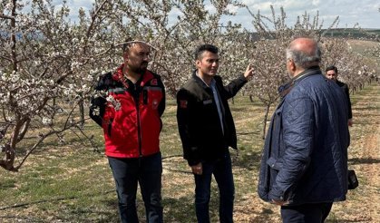 Kırşehir’de Don Alarmı: Ekipler Seferber