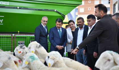 KIRŞEHİR’DE ÜRETİCİLERE 100 DAMIZLIK KOÇ DESTEĞİ
