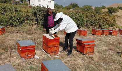 Hayvan sağlığı için denetimler sürüyor