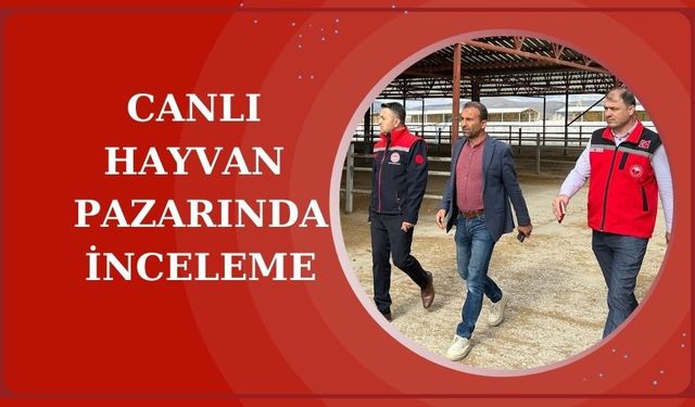 Müdür İlmeç'ten canlı hayvan pazarında inceleme