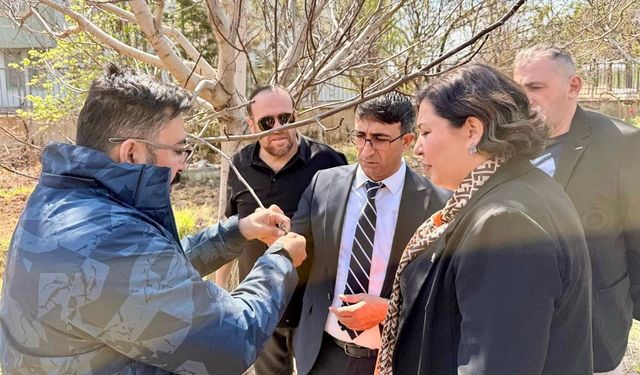 Kaman'da ceviz üreticilerine mesaj: "Yaralar en kısa sürede sarılacaktır”