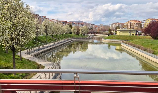 Kırşehir İkizarası Kent Park çiçek açtı