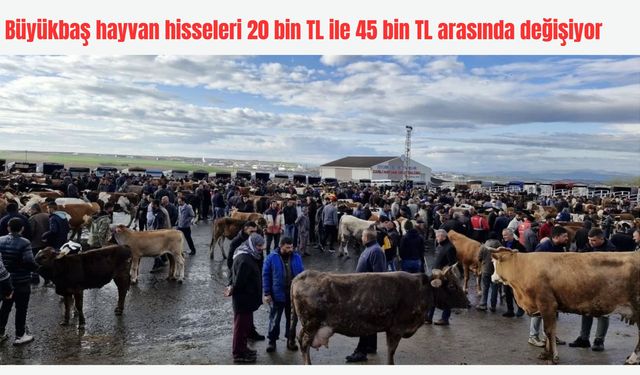Kurbanlık hisseleri el yakıyor