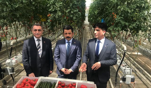 Türkiye’nin hidrojen ısıtmalı ilk serası Kırşehir’de faaliyete geçti