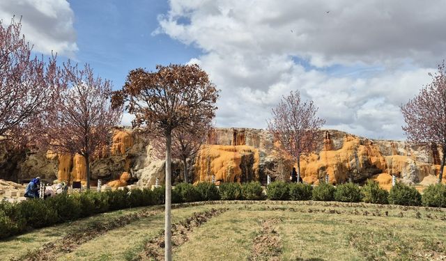 Şelale Park'ta ilkbahar güzelliği