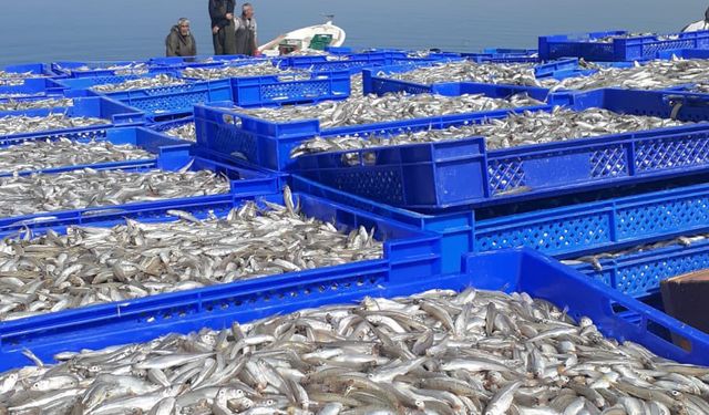 Hirfanlı Baraj Gölü’nde gümüş balığı av sezonu başladı