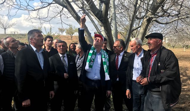 Bayraktar Kırşehir’de ceviz bahçelerindeki zararı inceledi