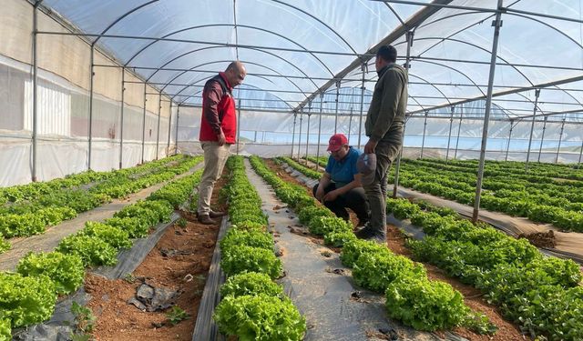 Kırşehir’de zirai don sonrası tarım arazilerinde hasar tespiti devam ediyor