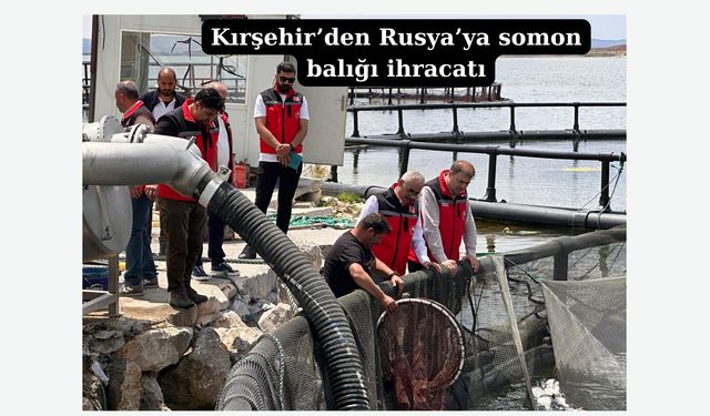 Hirfanlı Baraj Gölü'nden  Rusya’ya somon balığı ihracatı