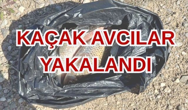 Kırşehir'de kaçak avcılara suçüstü