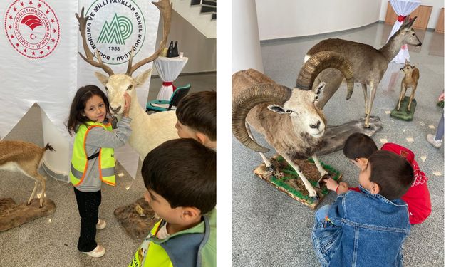 Çocuklar Anadolu yaban hayvanlarına bayıldı
