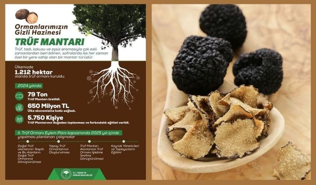 Tarım ve Orman İl Müdürlüğü’nden Trüf Mantarına Özel Açıklama