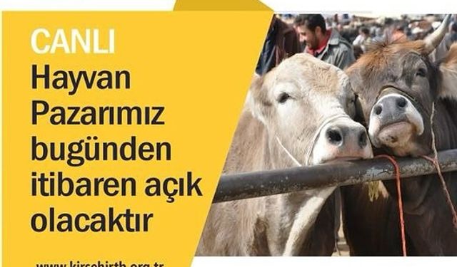 Kırşehir Canlı Hayvan Pazarı Bugünden İtibaren Açık Olacak