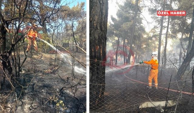 Ateş Çemberinde Bir Gönüllü: Kırşehir’den Bursa’ya Umut Taşıdı