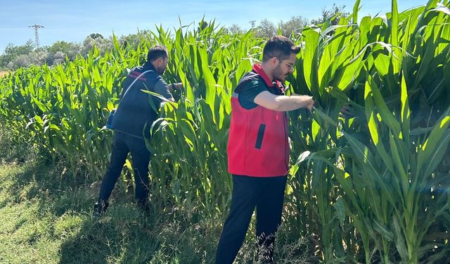 Yenidoğanlı’da Üretici Ziyareti, Tarla Gözlemleri ve Arıcılık Denetimi Gerçekleştirildi
