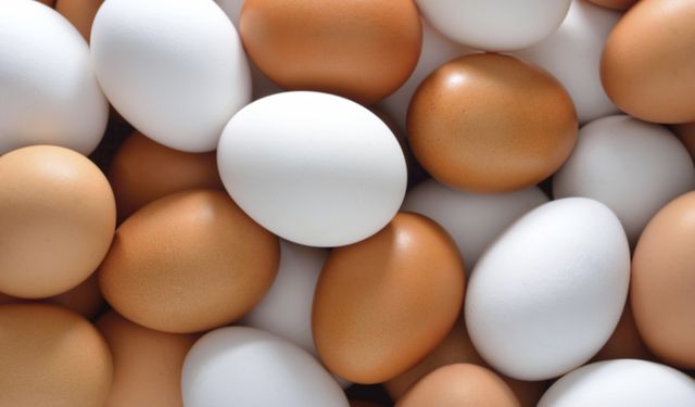 Yumurtada Yeni Dönem Başladı