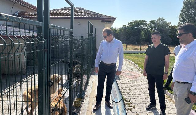 Barınaktaki Hayvanların Durumu Masaya Yatırıldı