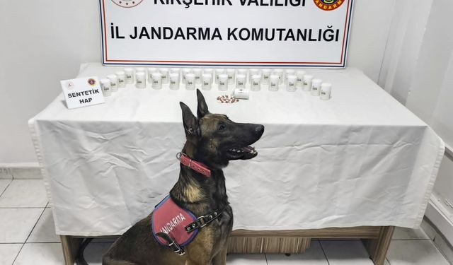 Kırşehir’de Uyuşturucu Operasyonu: 2 Kişi Gözaltında