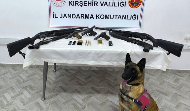 Ruhsatsız 4 tüfek, 5 tabanca ve 102 fişek ele geçirildi