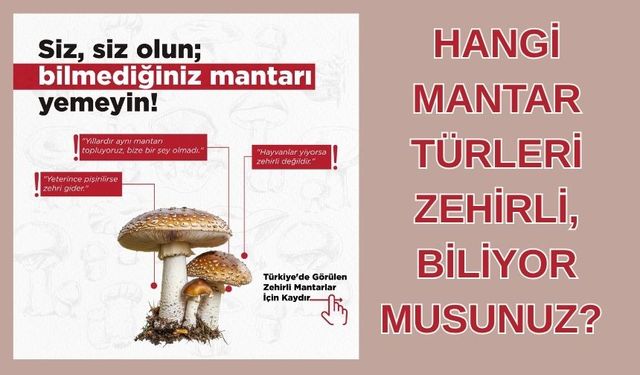 Tarım ve Orman İl Müdürlüğü’nden Vatandaşlara Mantar Uyarısı