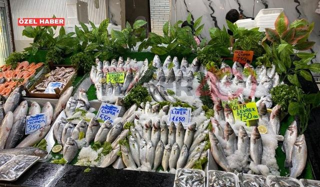 Kırşehir'de Tezgahlar Taze Balıkla Doldu