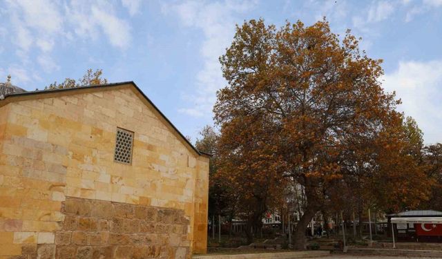 Ahi Evran Külliyesi’nde sonbahar güzelliği