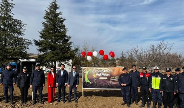 Kaman’da Yeşil Alanlar Artıyor