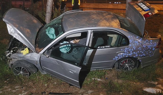 Kontrolden çıkan otomobil, direk ve ağaçlara çarptı: 1 yaralı