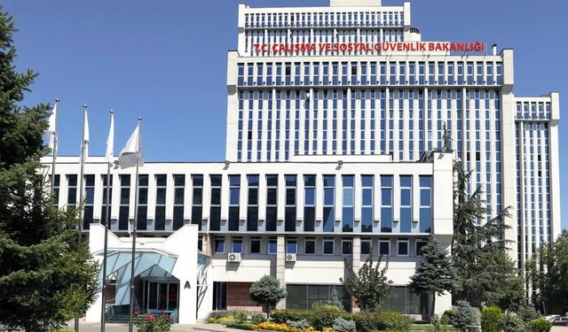 Kadın ve Genç İstihdamında Güçlü Artış