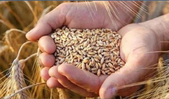 Yeni Buğday ve Arpa Fiyatları Açıklandı