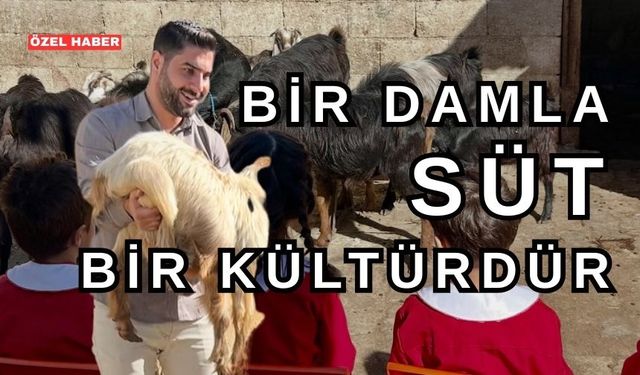 Kırşehirli Öğretmen M. Furkan Canlı’dan Bir Damla Sütün Hikâyesi
