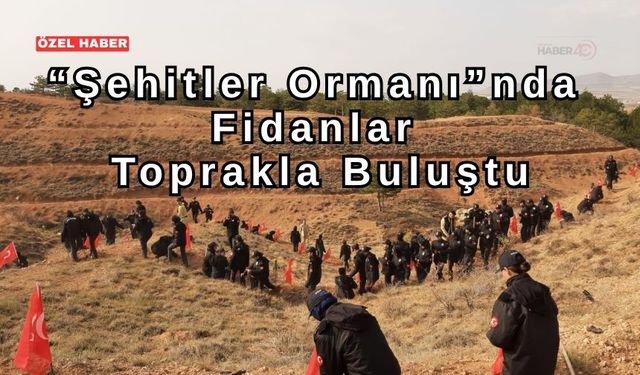 Fidanlar, Kahramanların Adına Dikildi