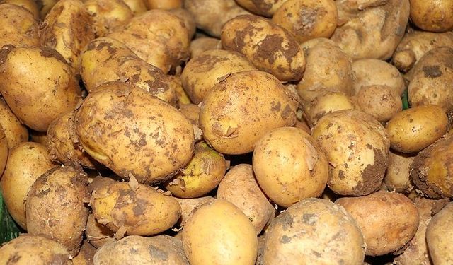 Bakanlık Patates Fiyatları Hakkında Konuştu