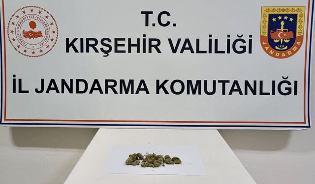 Kırşehir'de uyuşturucu operasyonunda 1 zanlı yakalandı