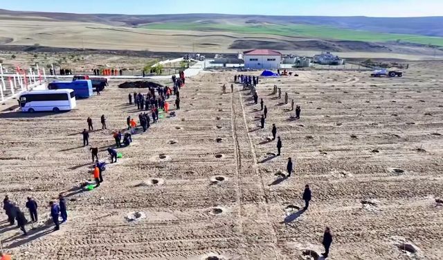 Kırşehir'de cezaevi yerleşkelerinde 5 bin 500 fidan toprakla buluşturuldu