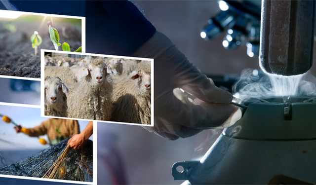 Tarım Destekleri Başladı