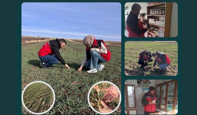 İlçe Tarım Müdürlükleri Saha Çalışmalarını Sürdürüyor